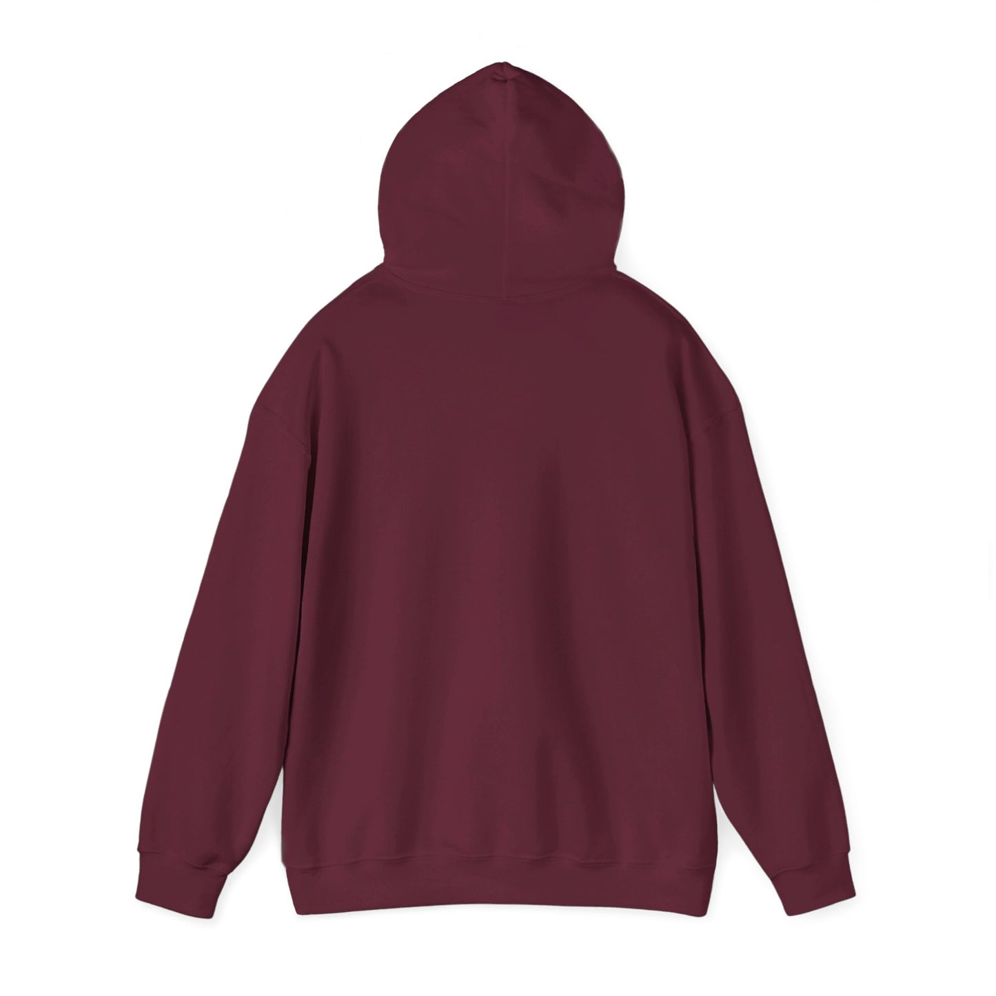 Delicate Arch Hoodie