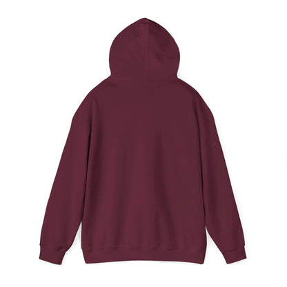 Delicate Arch Hoodie